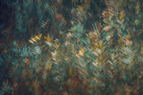 Late summer Poster och Canvastavla