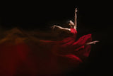 Flow of Dance Poster och Canvastavla