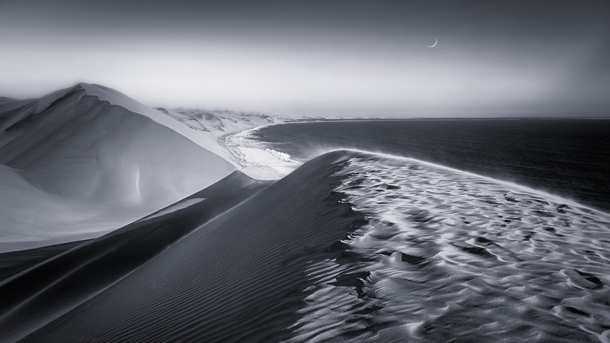 Coastal sand dunes Poster och Canvastavla