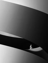 Among the shape Poster och Canvastavla
