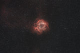 night sky rose Poster och Canvastavla
