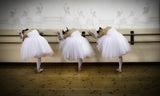 3 ballerinas -pay tribute to Dega Poster och Canvastavla