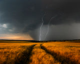 Wetterfront Poster och Canvastavla