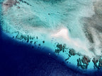 The reef Poster och Canvastavla