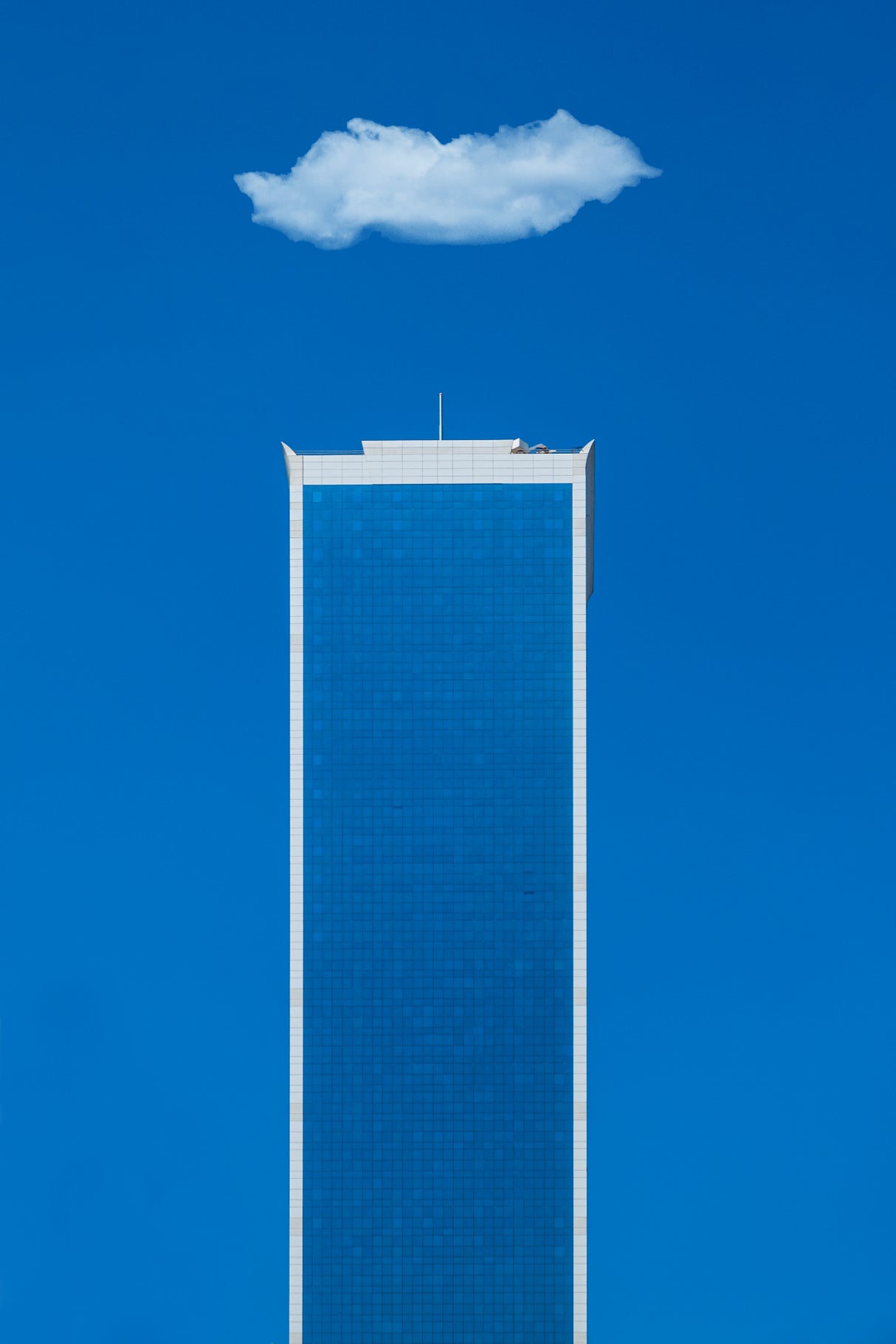 blue &amp; white Poster och Canvastavla