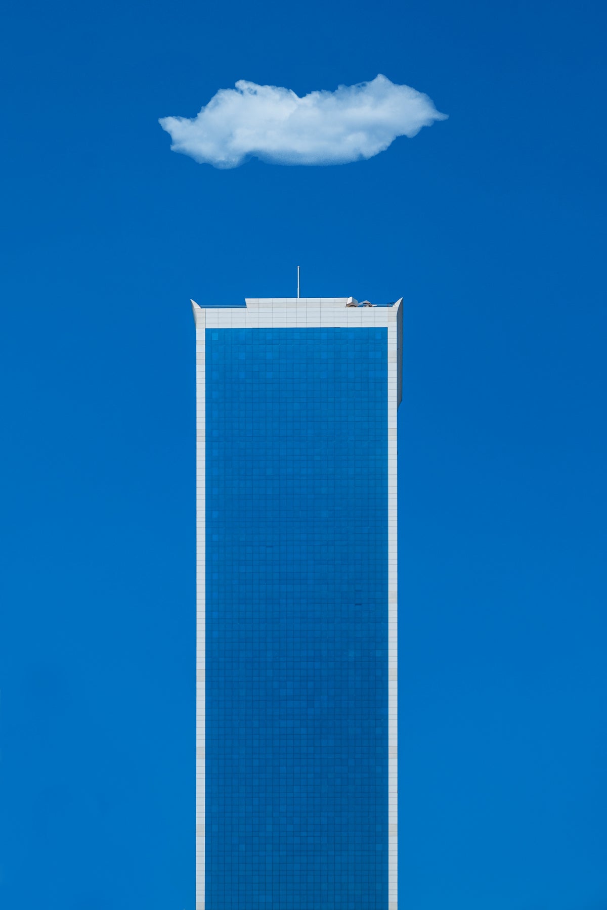 blue &amp; white Poster och Canvastavla