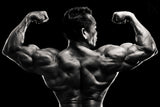 Muscle Poster och Canvastavla