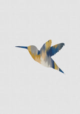 Blue & Yellow Hummingbird I Poster och Canvastavla