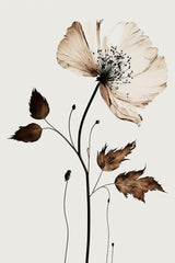 The Coffee Flower Poster och Canvastavla