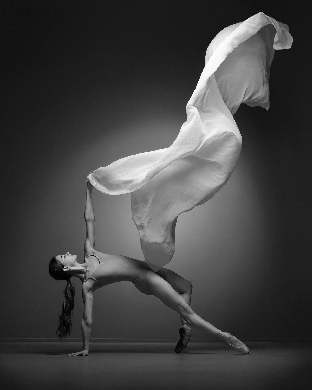 Art Of Movement Series Poster och Canvastavla