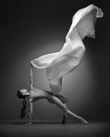 Art Of Movement Series Poster och Canvastavla