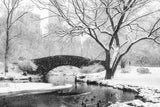 central park snow Poster och Canvastavla