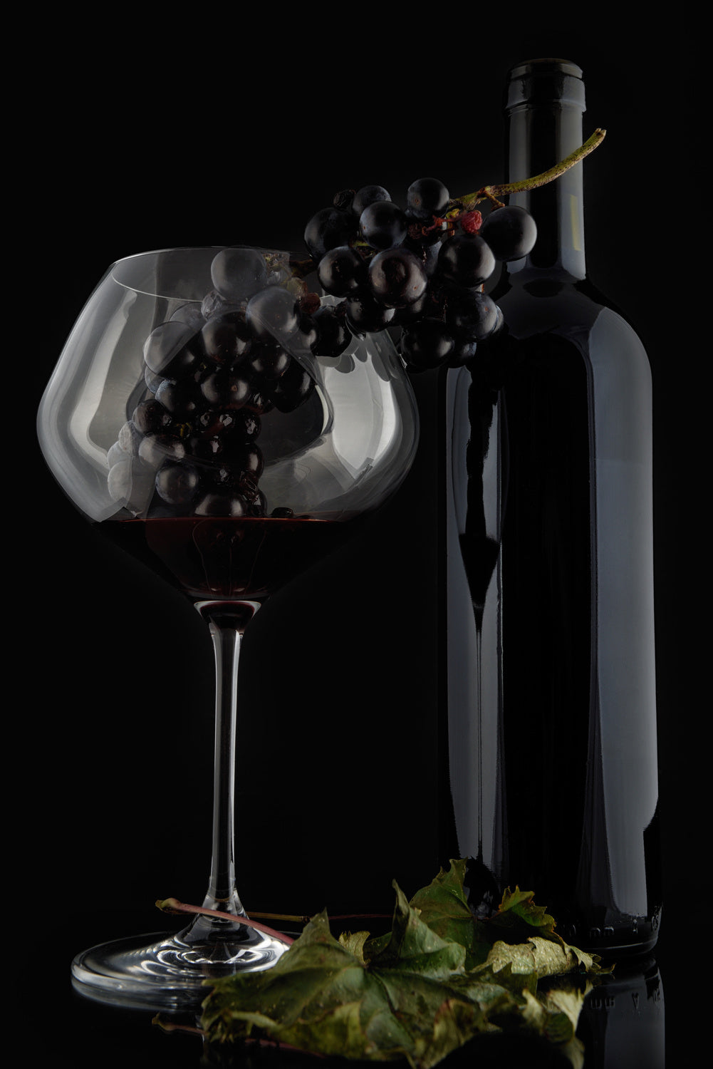 I Love Wine ! V Poster och Canvastavla