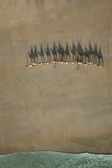 Broome Camel Train Poster och Canvastavla