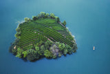 Tea garden island Poster och Canvastavla