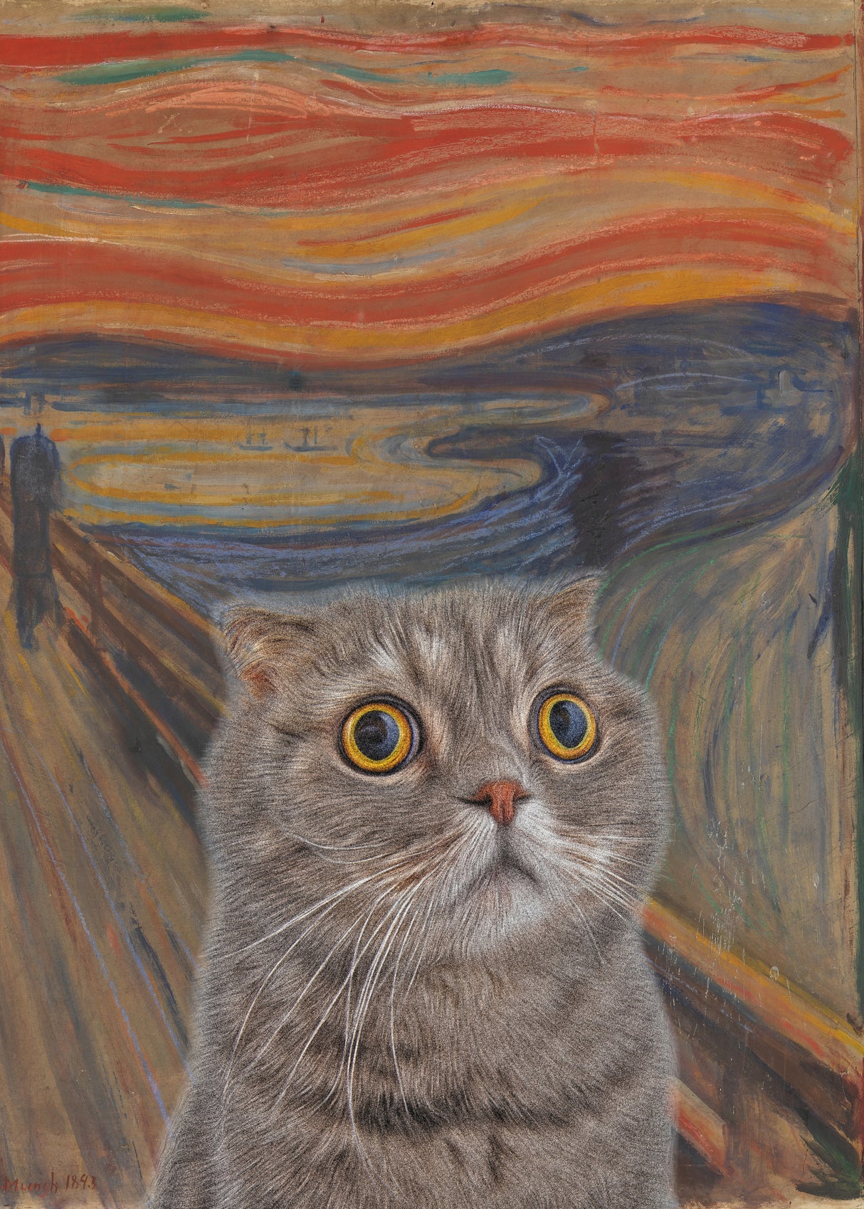The Meow 03 Poster och Canvastavla