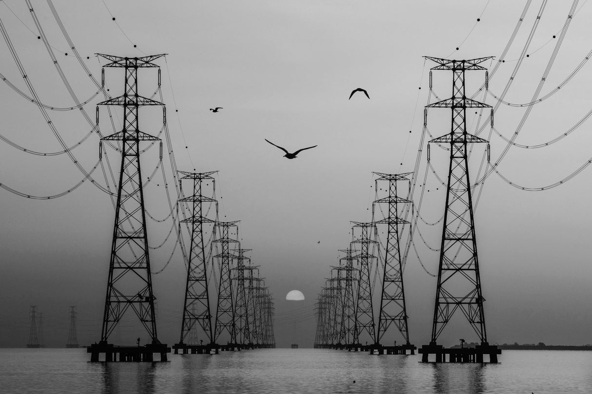 Transmission Line Poster och Canvastavla