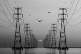 Transmission Line Poster och Canvastavla