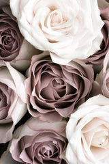 Roses Poster och Canvastavla