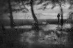 In the silent rain Poster och Canvastavla