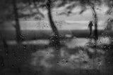 In the silent rain Poster och Canvastavla