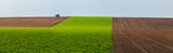 Green land Poster och Canvastavla