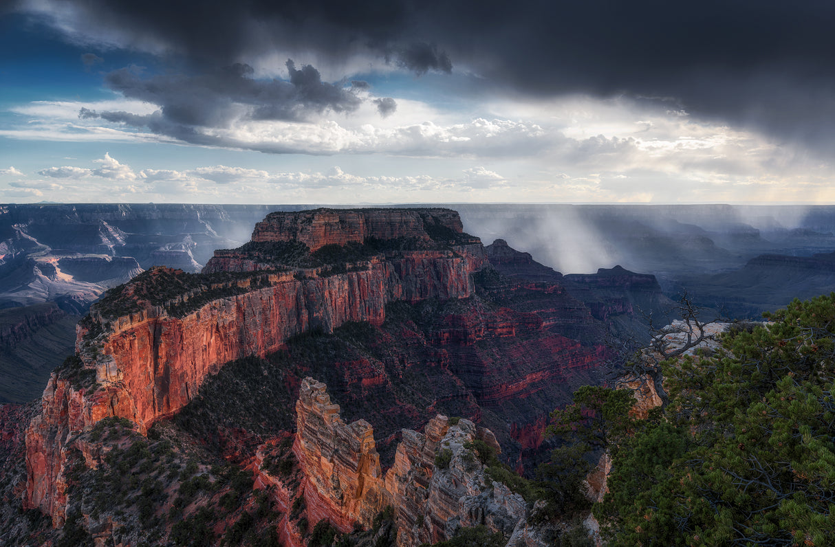 Scattered Showers at Grand Canyon Poster och Canvastavla
