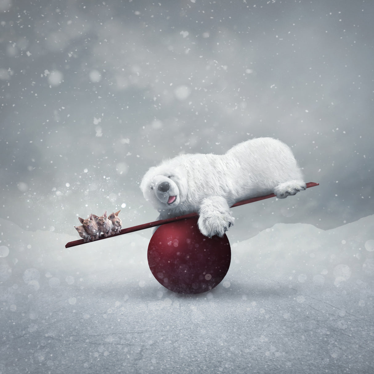 Winter Wonderland Poster och Canvastavla