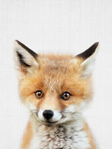 Peekaboo Baby Fox Poster och Canvastavla