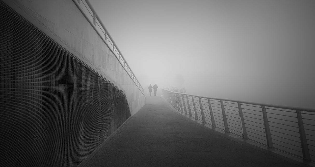 ALONE IN THE MIST Poster och Canvastavla