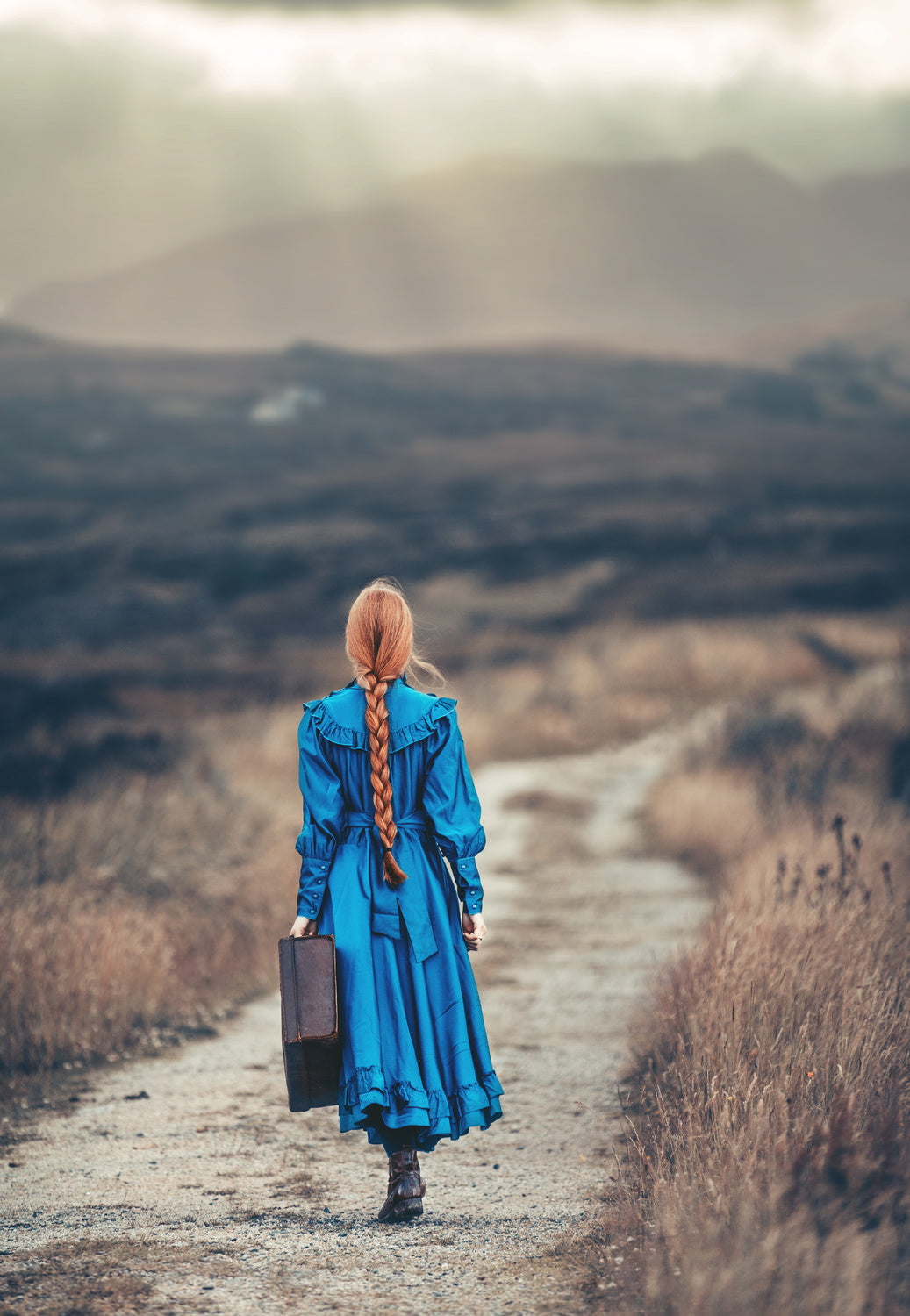 Way home Poster och Canvastavla