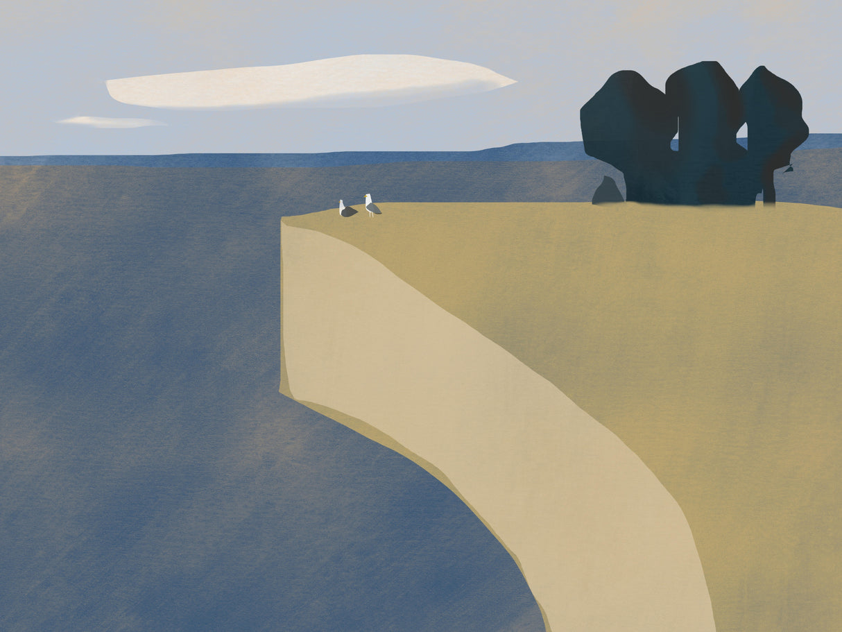 Seagull Lover Poster och Canvastavla