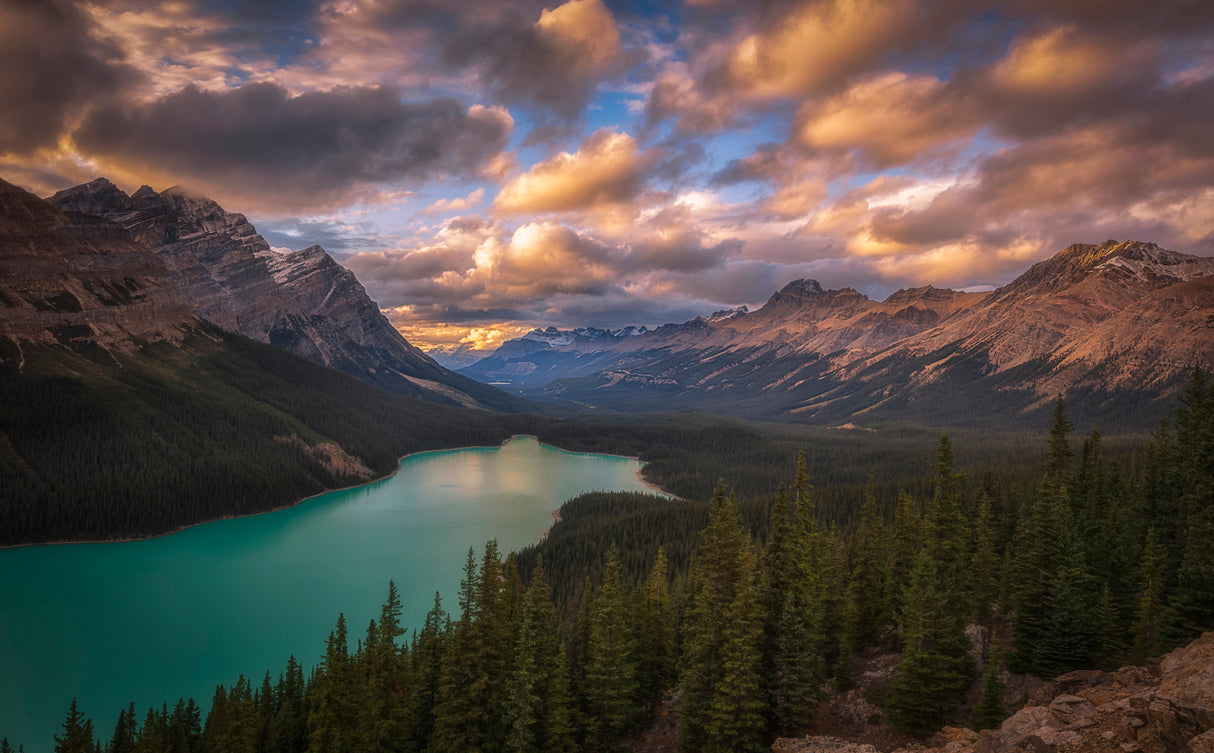 Peyto Lake at Dusk Poster och Canvastavla