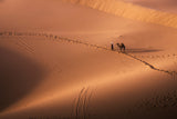 The colors of Sahara Poster och Canvastavla