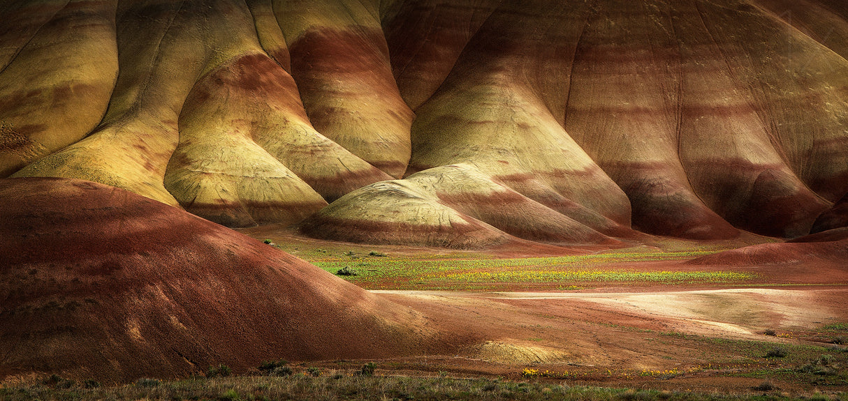 Painted Hills in Spring Poster och Canvastavla