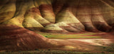 Painted Hills in Spring Poster och Canvastavla