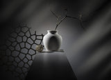 From the series "Light and Shadows" Poster och Canvastavla