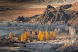 Oasis in the mountains (Altai) Poster och Canvastavla