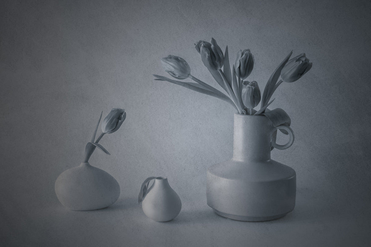 Still Life with Tulips Poster och Canvastavla