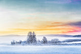 Mystical morning light and fog Poster och Canvastavla