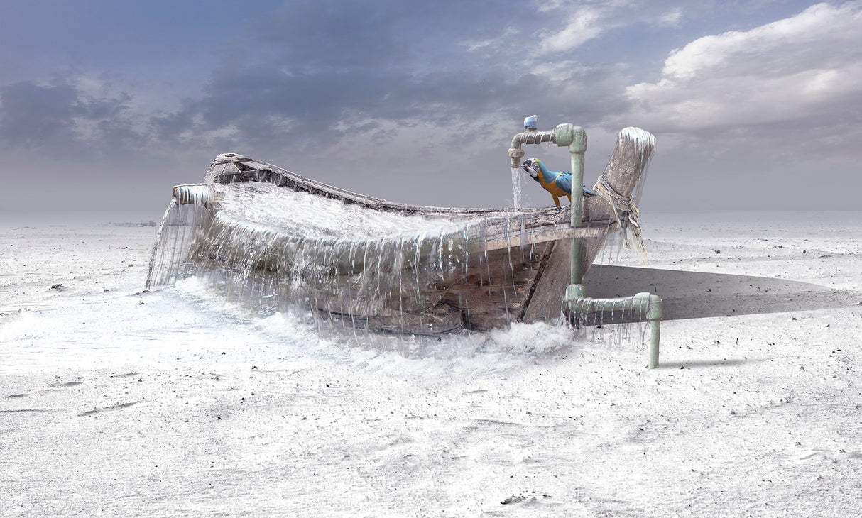The frozen water Poster och Canvastavla