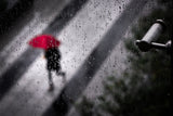 Rain Poster och Canvastavla