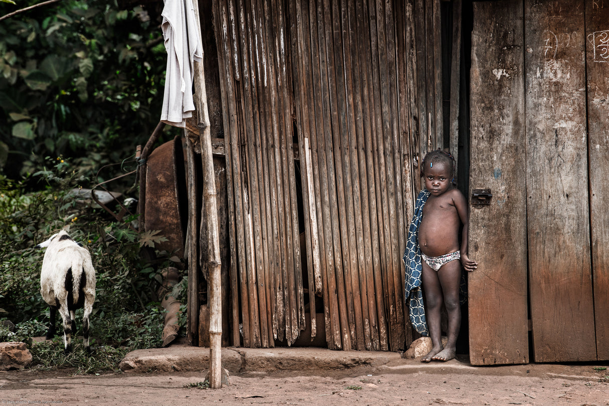 The child and the sheep - Benin Poster och Canvastavla