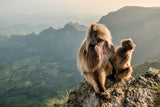 Couple on the edge Poster och Canvastavla