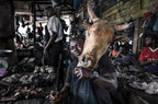 A butcher with a cow's head - Ghana Poster och Canvastavla