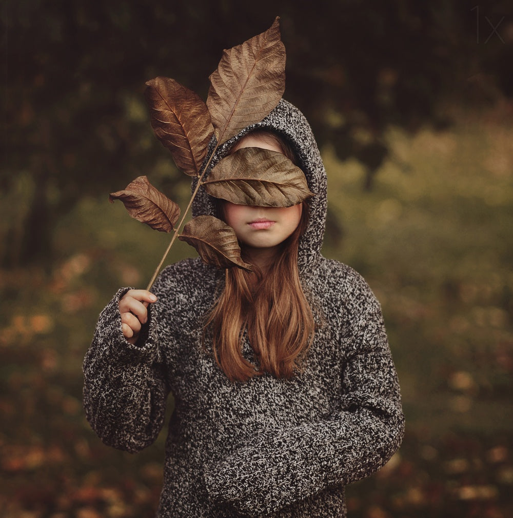 Autumn masquerade Poster och Canvastavla