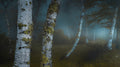 Mystery Forest Poster och Canvastavla