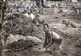 A scene of a Mundari camp - South Sudan Poster och Canvastavla