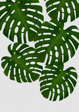 Monstera Leaf I Poster och Canvastavla