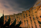 golden hour Poster och Canvastavla